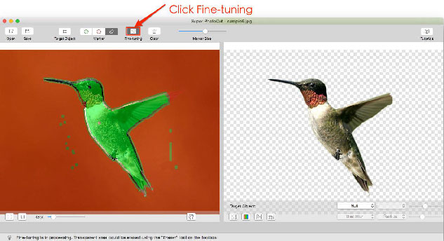 change background from photo mac tutorials